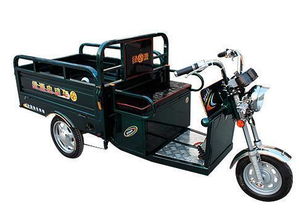 金楓王電動三輪車水電瓶價格解析