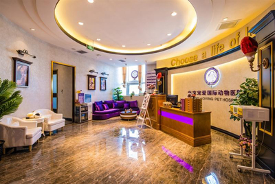資本看好動物醫(yī)療賽道 寵愛國際完成C輪數億元融資成為市場標桿